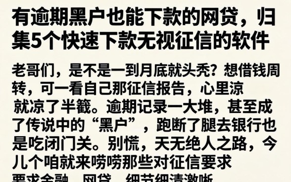 有逾期黑户也能下款的网贷，归集5个快速下款无视征信的软件