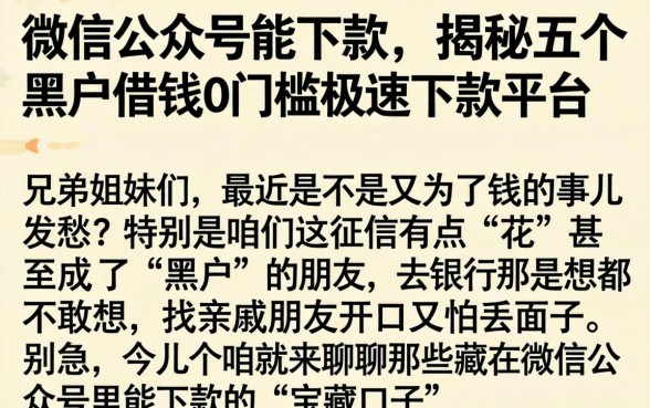微信公众号能下款的,揭秘五个黑户借钱0门槛极速下款平台