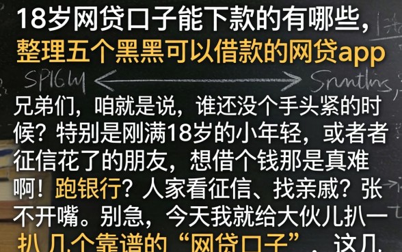 18岁网贷口子能下款的有哪些，整理五个黑户可以借款的网贷app