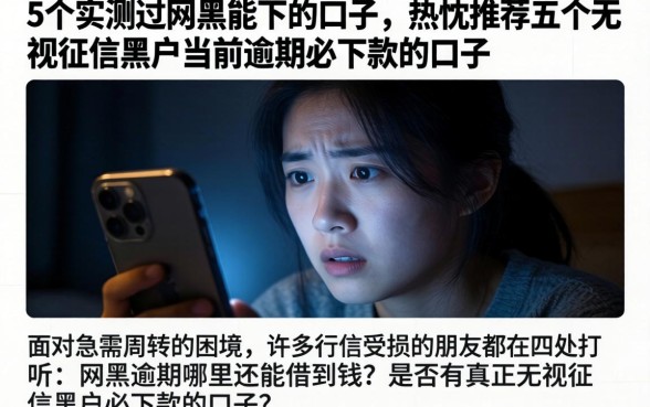 5个实测过网黑能下的口子，热忱推荐五个无视征信黑户当前逾期必下款的口子