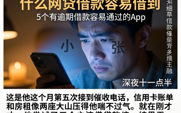 什么网贷借款容易借到，详尽说明5个有逾期借款容易通过的app