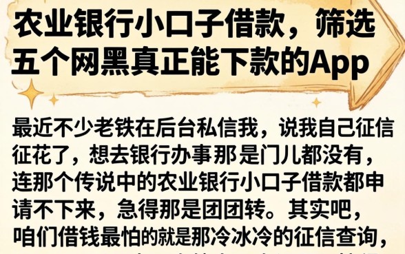 农业银行小口子借款，筛选五个网黑真正能下款的app