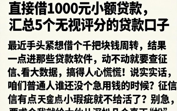 直接借1000元小额贷款，汇总5个无视评分的贷款口子
