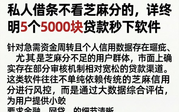 私人借条不看芝麻分的,详尽说明5个5000块贷款秒下软件