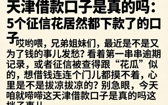 天津借款口子是真的吗，枚举5个征信花居然都下款了的口子