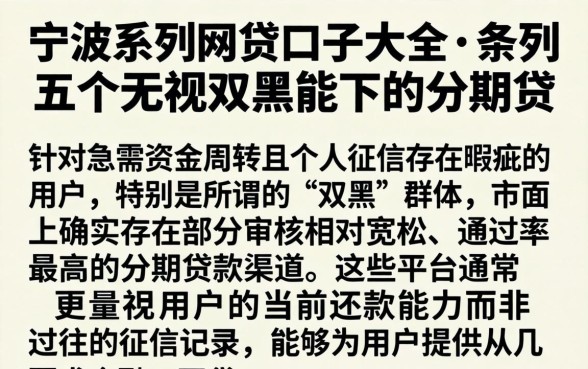 宁波系列网贷口子大全，条列五个无视双黑能下的分期贷