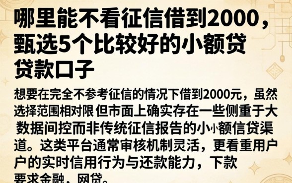 哪里能不看征信借到2000,甄选5个比较好的小额贷款口子