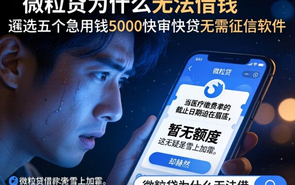 微粒贷为什么无法借钱，遴选五个急用钱5000快审快贷无需征信软件