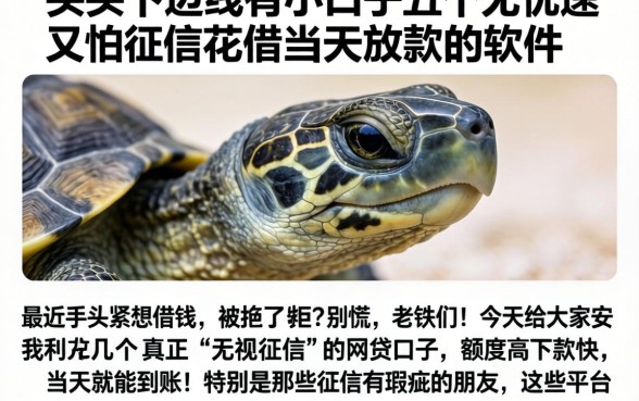 龟头下边的线有小口子，概括五个无忧速借当天放款的软件