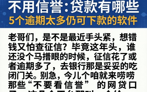 不用信誉的贷款有哪些，条列5个逾期太多仍可下款的软件
