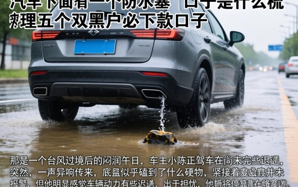 汽车下面有一个防水塞的口子是什么，梳理五个双黑户必下款的口子