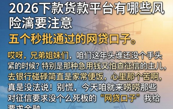 2026下款的货款平台有哪些风险需要注意，详细阐述五个秒批通过的网贷口子