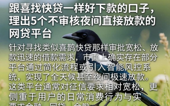 跟喜鹊快贷一样好下款的口子，理出5个不审核夜间直接放款的网贷平台