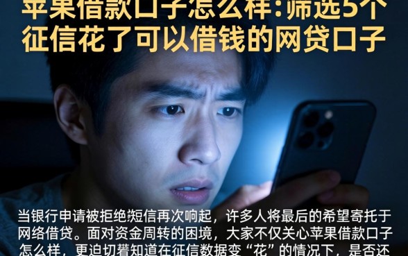 苹果借款口子怎么样,筛选5个征信花了可以借钱的网贷口子