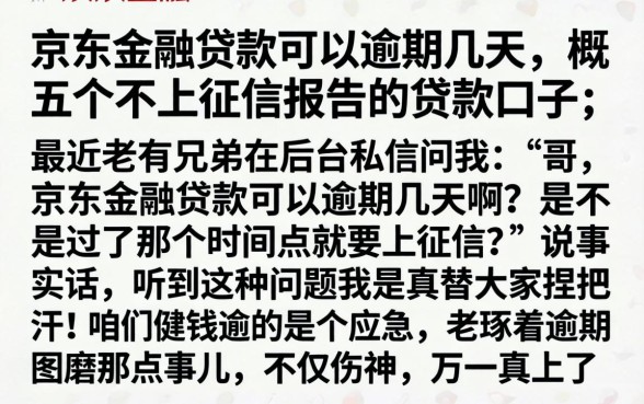 京东金融贷款可以逾期几天，概括五个不上征信报告的贷款口子