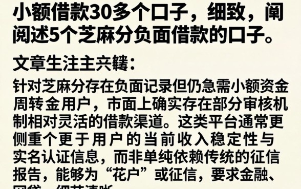 小额借款30多个口子，细致阐述5个芝麻分负面借款的口子