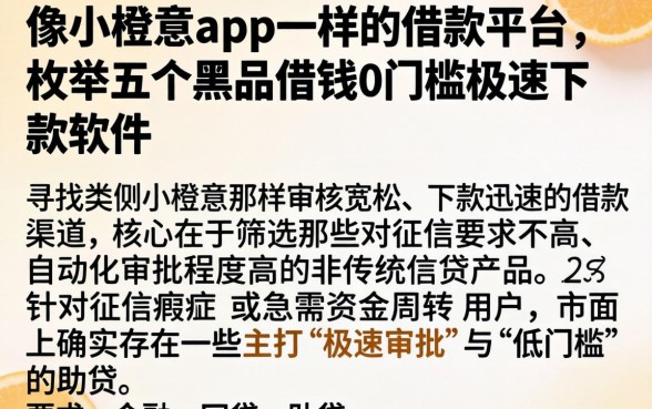 像小橙意app一样的借款平台，枚举五个黑户借钱0门槛极速下款软件
