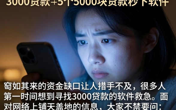 3000贷款的软件，详细阐述5个5000块贷款秒下软件