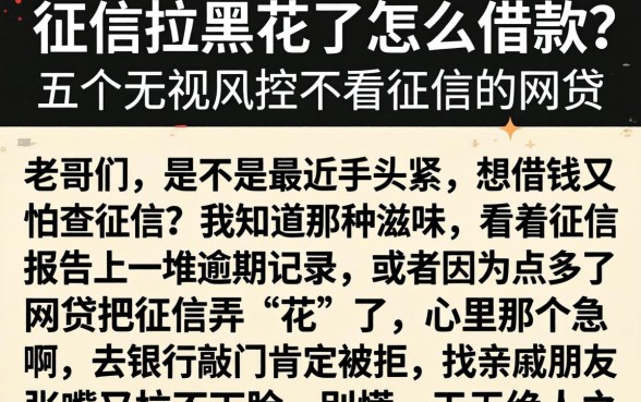 征信拉黑花了怎么借款，细致阐述五个无视风控不看征信的网贷