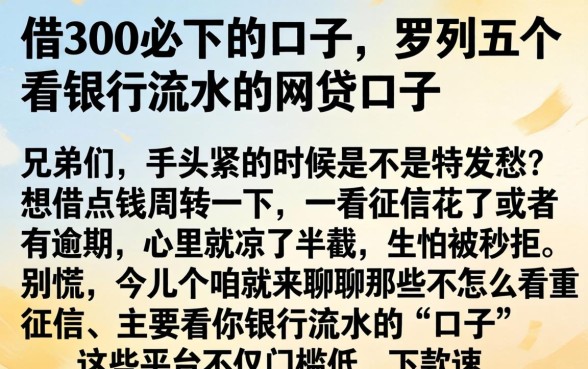 借300必下的口子，罗列五个看银行流水的网贷口子