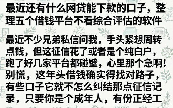 最近还有什么网贷能下款的口子,整理五个借钱平台不看综合评估的软件