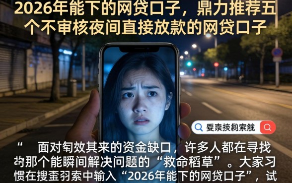 2026年能下的网贷口子,鼎力推荐五个不审核夜间直接放款的网贷口子