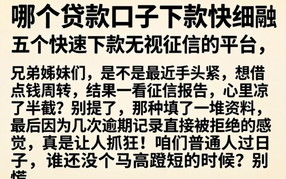 哪个贷款口子下款快，细致阐述五个快速下款无视征信的平台