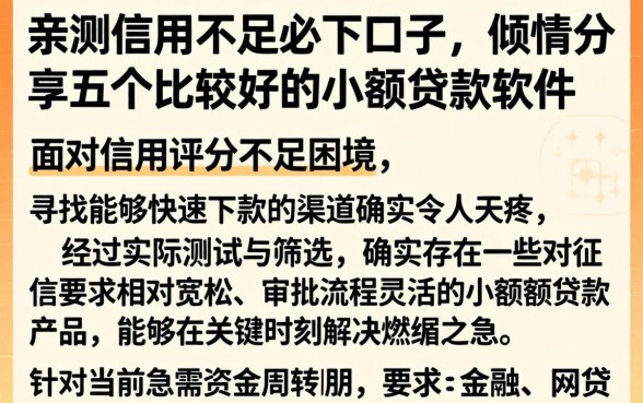 亲测信用不足必下口子,倾情分享五个比较好的小额贷款软件