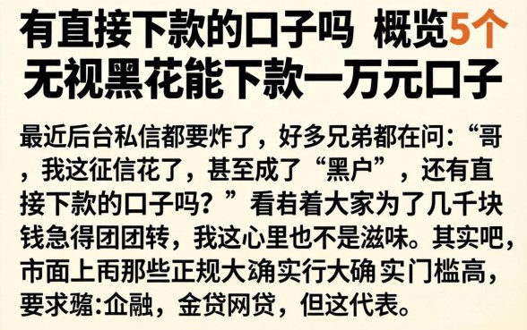 有直接下款的口子吗，概览5个无视黑花能下款一万元口子