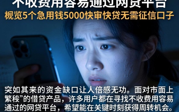 不收费用容易通过的网贷平台，概览5个急用钱5000快审快贷无需征信口子