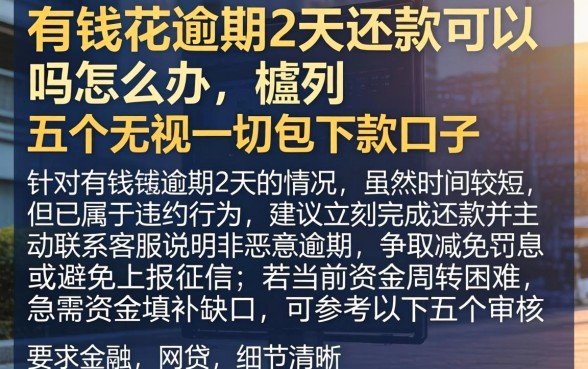有钱花逾期2天还款可以吗怎么办,胪列五个无视一切包下款口子