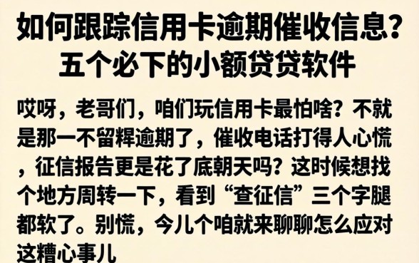 如何跟踪信用卡逾期催收信息，概括五个必下的小额贷款软件