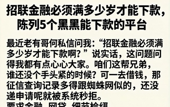 招联金融必须满多少岁才能下款，陈列5个黑户能下款的平台