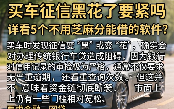 买车征信黑花了要紧吗,详尽说明5个不用芝麻分能借的软件