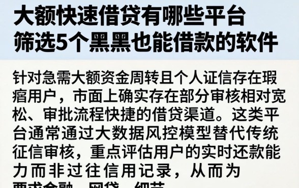 大额快速借贷有哪些平台，筛选5个黑户也能借款的软件