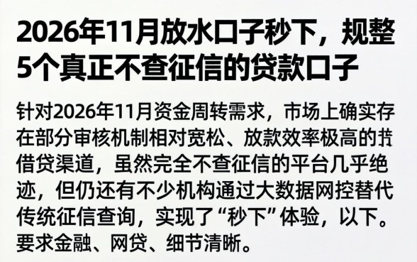 2026年11月放水口子秒下，规整5个真正不查征信的贷款口子