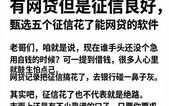 有网贷但是征信良好,甄选五个征信花了能网贷的软件