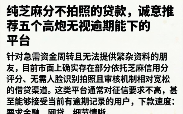 纯芝麻分不拍照的贷款，诚意推荐五个高炮无视逾期能下的平台