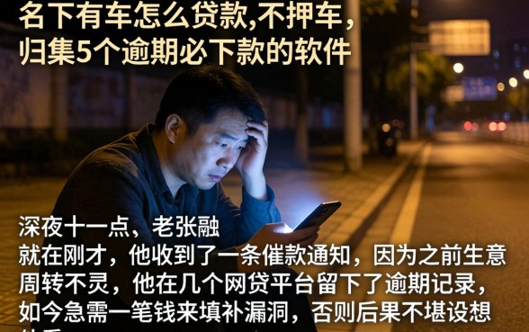 名下有车怎么贷款,不押车，归集5个逾期必下款的软件
