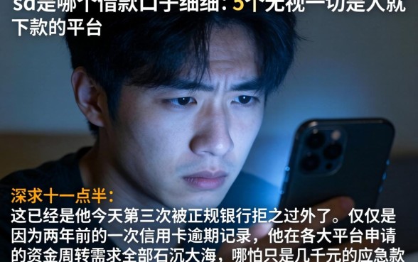sd是哪个借款口子，细致阐述5个无视一切是人就下款的平台