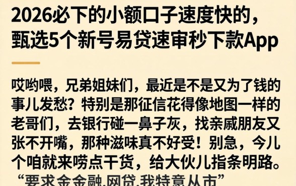 2026必下的小额口子速度快的，甄选5个新号易贷速审秒下款app