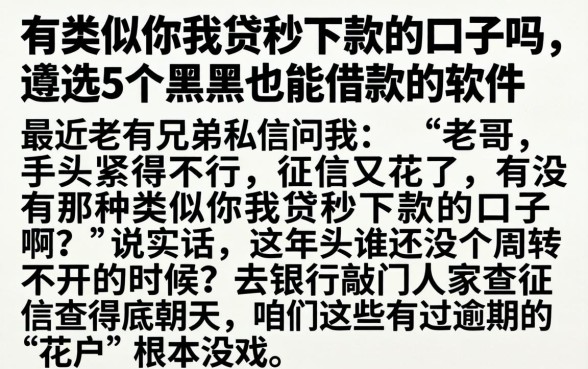 有类似你我贷秒下款的口子吗，遴选5个黑户也能借款的软件
