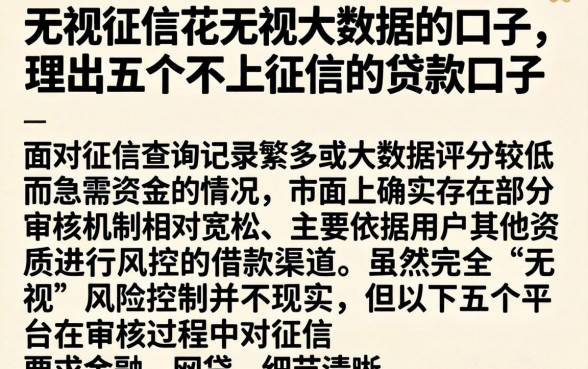 无视征信花无视大数据的口子，理出五个不上征信的贷款口子