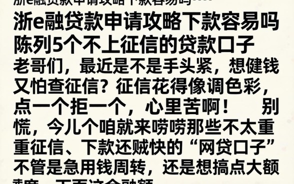 浙e融贷款申请攻略下款容易吗，陈列5个不上征信的贷款口子