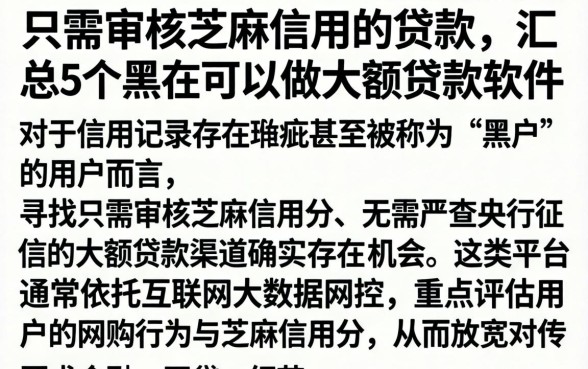 只需审核芝麻信用的贷款,汇总5个黑户可以做大额贷款软件
