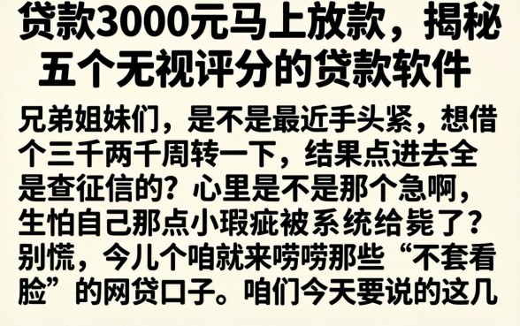 贷款3000元马上放款，揭秘五个无视评分的贷款软件