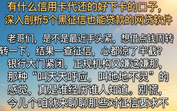 有什么信用卡代还的好下卡的口子，深入剖析5个黑征信也能贷款的网贷软件