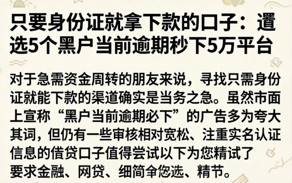 只要身份证就拿下款的口子，遴选5个黑户当前逾期秒下5万平台