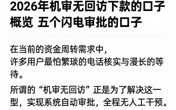 2026年机审无回访下款的口子,概览五个闪电审批的口子