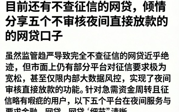 目前还有不查征信的网贷，倾情分享五个不审核夜间直接放款的网贷口子